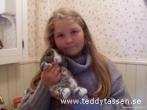 Teddytassens Baguette